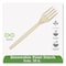 Eco-Products EcoSense Renewable Plant Starch Cutlery, Fork, 7", PK50 EP-S002 - alternate 2